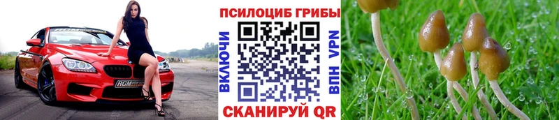 Псилоцибиновые грибы мицелий  цена   Тюкалинск 